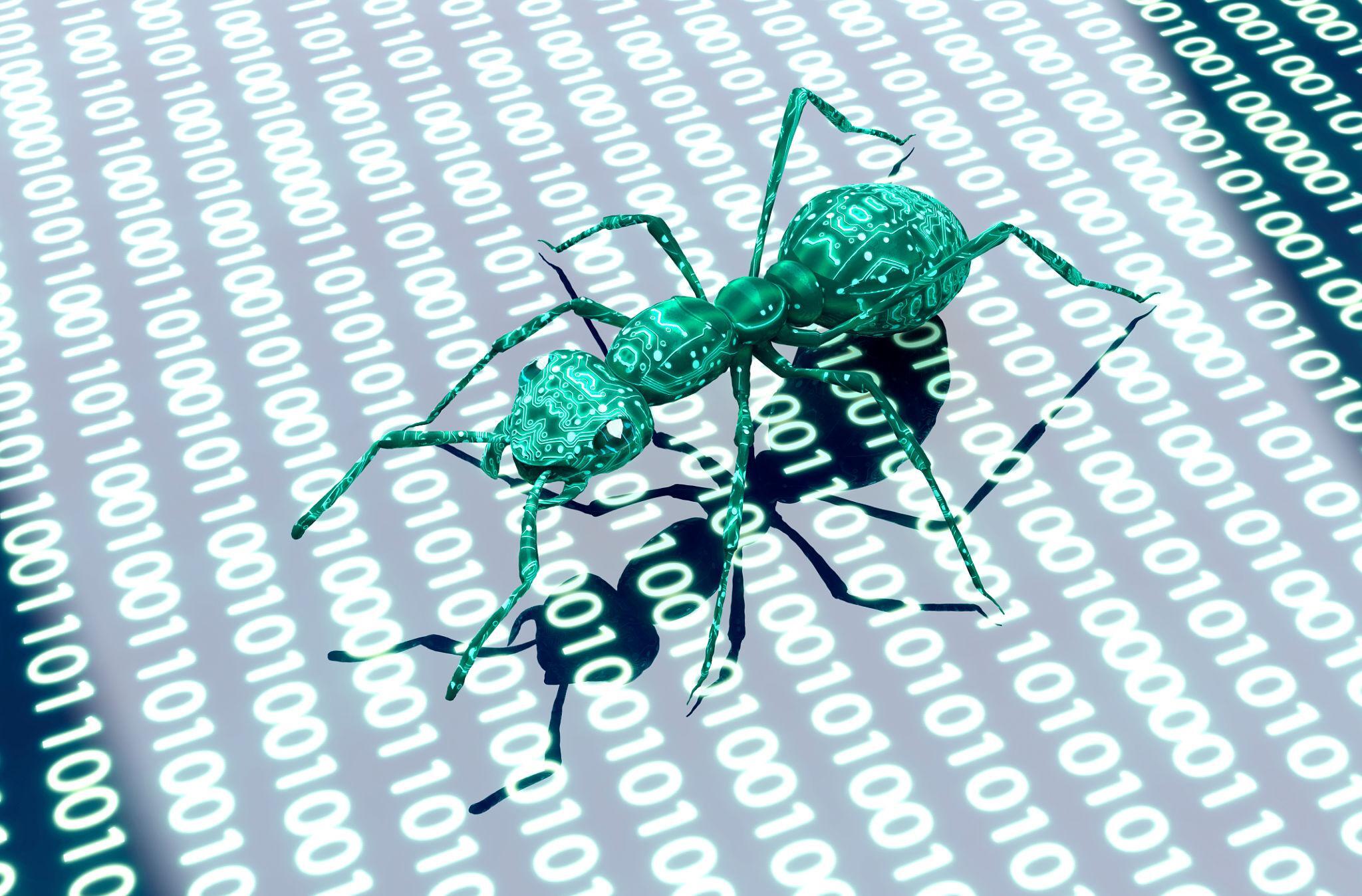Software bug concept
